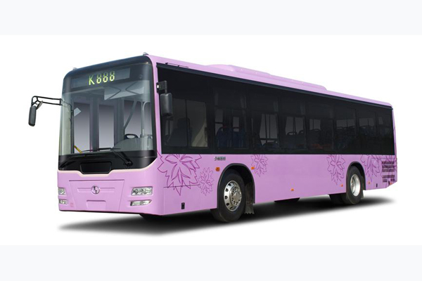 少林SLG6950C公交车(天然气国五25-36座)
