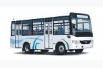 少林SLG6660T5GZ公交车(天然气国五10-22座)