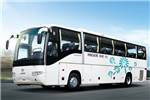 海格KLQ6129KAC50客车(天然气国五24-59座)