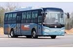 中通LCK6108EVG4公交车(纯电动10-49座)