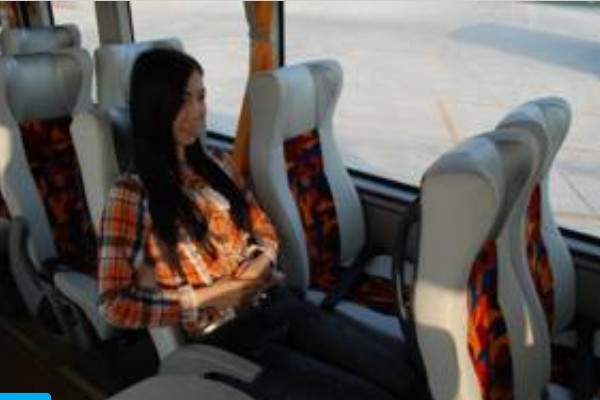 中通LCK6108EVG4公交车(纯电动10-49座)