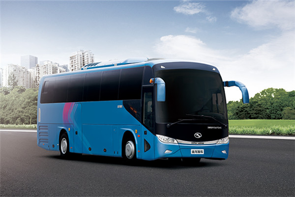 金龙XMQ6113AYN5D客车(天然气国五24-63座)