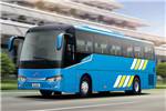金龙XMQ6112AYD5C1客车(柴油国五24-53座)