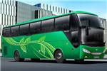 安凯HFF6110K09D1E5B客车(柴油国五24-50座)