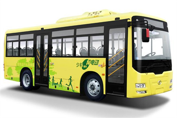 少林SLG6822EVG公交车(纯电动10-31座)