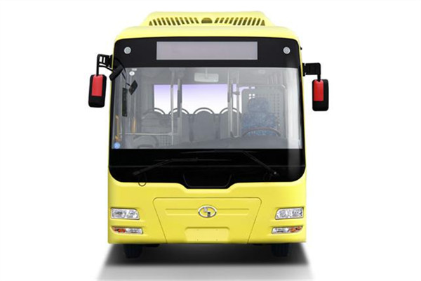 少林SLG6822EVG公交车(纯电动10-31座)