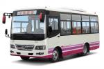 少林SLG6667C5GF公交车(柴油国五10-25座)