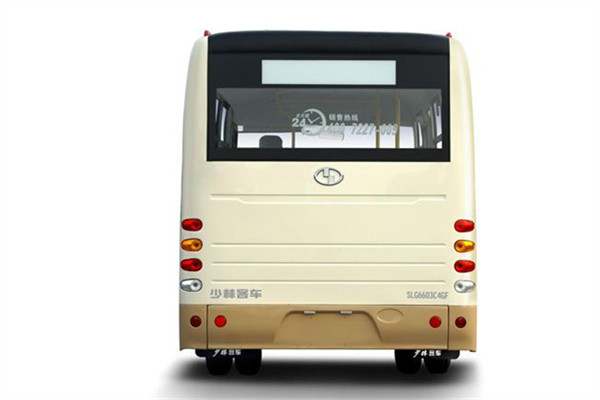 少林SLG6607C5GF公交车(柴油国五10-18座)