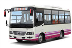 少林SLG6667C5GE公交车(柴油国五11-25座)