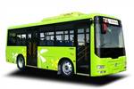 少林SLG6821EVG公交车(纯电动10-35座)
