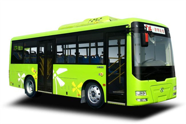少林SLG6821EVG公交车(纯电动10-35座)