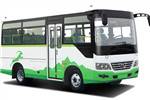 少林SLG6607C5F公交车(柴油国五10-19座)