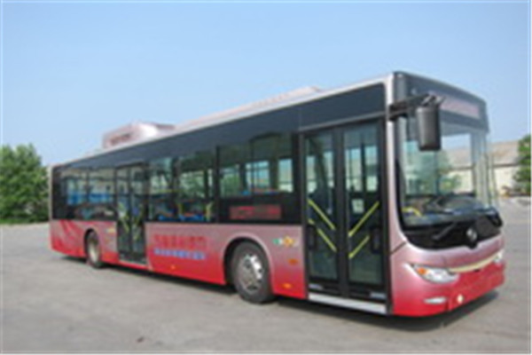 黄海DD6129CHEV8N公交车(NG/电混动国五18-42座)