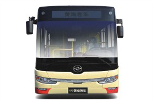 黄海DD6109CHEV6N公交车(NG/电混动国五18-36座)