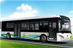 常隆YS6100GBEV公交车(纯电动17-29座)