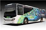 五洲龙FDG6117EVG1公交车(纯电动10-34座)