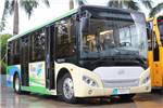 五洲龙FDG6801EVG1公交车(纯电动15-24座)