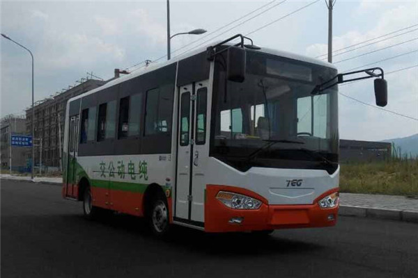 中车时代电动TEG6690BEV公交车(纯电动10-25座)
