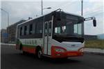 中车时代电动TEG6690BEV公交车(纯电动10-25座)