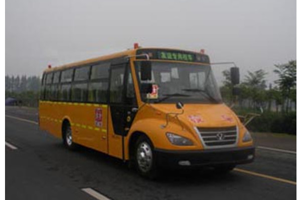 友谊ZGT6960DVX小学生专用校车(柴油国五24-56座)