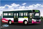 友谊ZGT6810NV公交车(天然气国五15-30座)