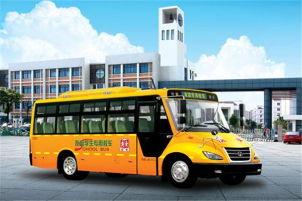 友谊ZGT6808DVX小学生专用校车(柴油国五24-43座)