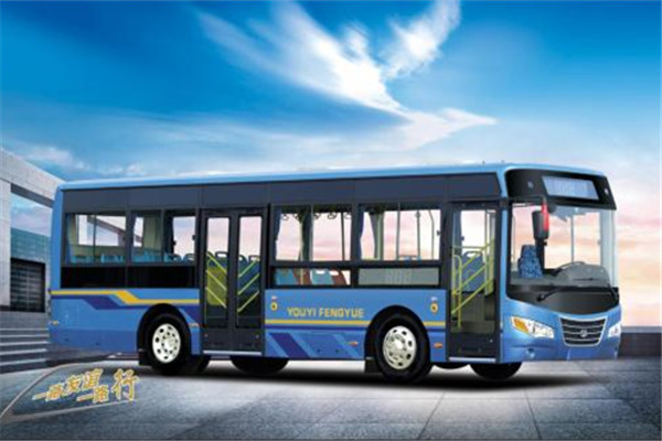 友谊ZGT6942NV公交车(天然气国五20-33座)