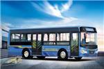 友谊ZGT6942NV公交车(天然气国五20-33座)