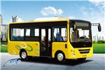 友谊ZGT6608NV1C公交车(天然气国五11-18座)