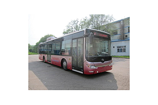 黄海DD6120CHEV2N公交车(天然气/电混动国五20-41座)