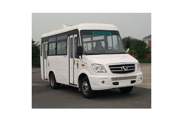 少林SLG6580C5GF公交车(柴油国五10-14座)