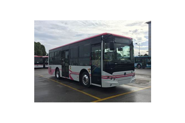 申龙SLK6859ULE0BEVY公交车(纯电动10-29座)