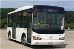 海格KLQ6690GEVN公交车(纯电动10-17座)