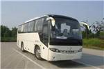 海格KLQ6905KQE51客车(柴油国五24-41座)
