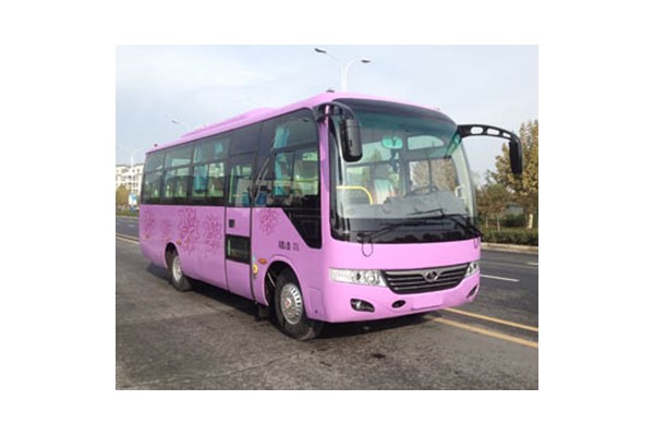 少林SLG6752C5E客车(柴油国五24-31座)