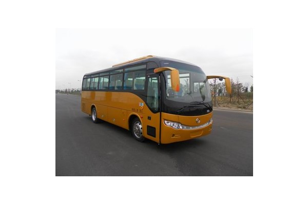 黄海DD6907C09客车(柴油国五24-40座)