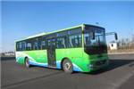 黄海DD6111C12客车(柴油国五24-45座)