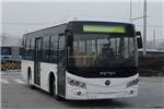 福田欧辉BJ6856C6BFB公交车(柴油国五16-30座)