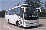 金龙XMQ6859AYN5C客车(天然气国五24-37座)