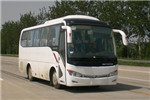金龙XMQ6879AYN5B客车(天然气国五24-37座)