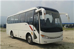 金龙XMQ6898AYD5D客车(柴油国五24-41座)