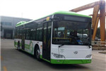 金龙XMQ6127AGCHEVN56公交车(天然气/电混动国五10-46座)