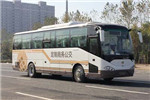 中通LCK6117HGN公交车(天然气国五10-52座)