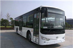 安凯HFF6105G03EV公交车(纯电动10-37座)