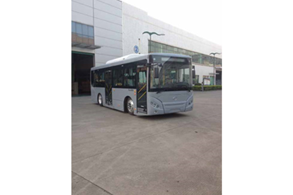 五洲龙FDG6851EVG2公交车(纯电动10-28座)