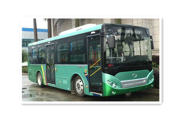 五洲龙FDG6851EVG9公交车(纯电动10-28座)