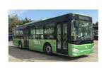 金旅XML6125JEVG0C1公交车(纯电动10-46座)