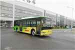 亚星JS6101GHBEV12公交车(纯电动16-36座)
