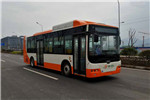 中车时代电动TEG6106BEV19公交车(纯电动10-36座)