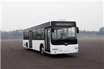 中车时代电动TEG6106BEV16公交车(纯电动10-36座)